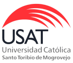 usat-.png
